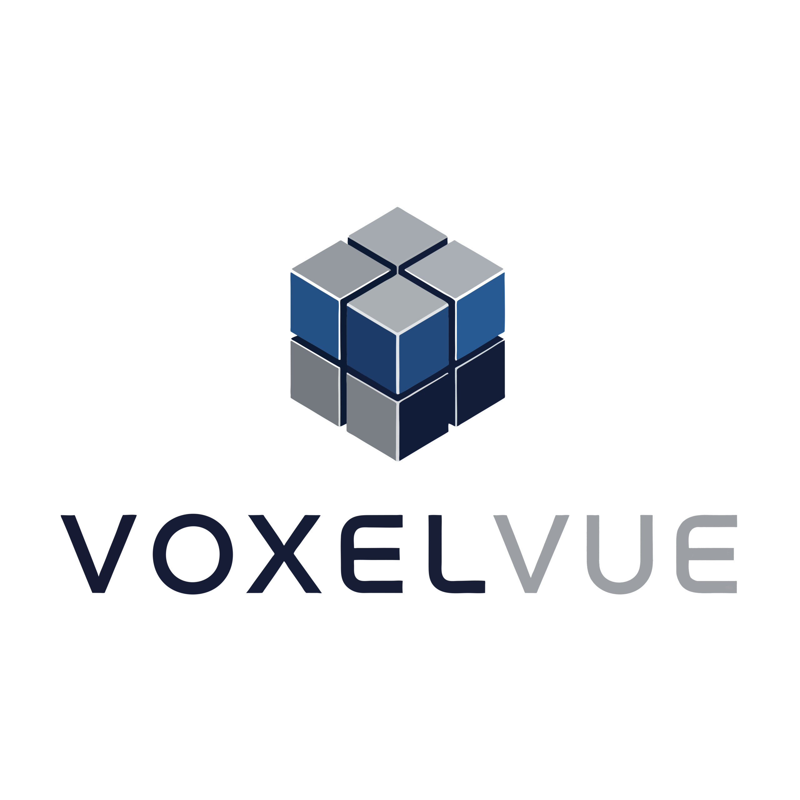 VoxelVue